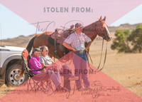 2024 McMillen Pasture Roping-7597