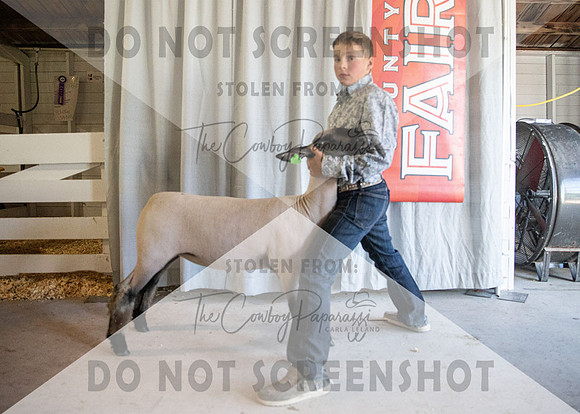 12Aug2021 Roosevelt County Fair-4497