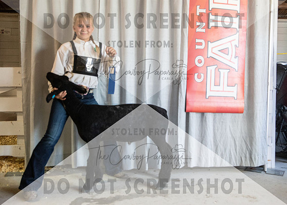 12Aug2021 Roosevelt County Fair-4531