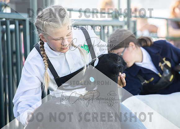 12Aug2021 Roosevelt County Fair-8100
