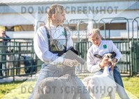 12Aug2021 Roosevelt County Fair-8107