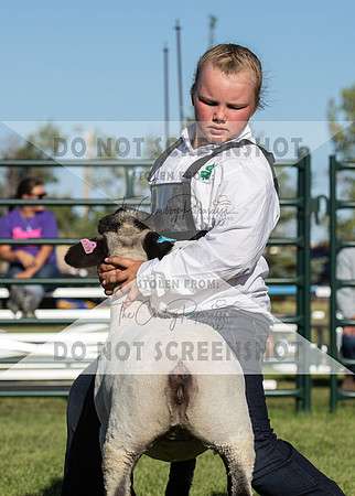 12Aug2021 Roosevelt County Fair-8115