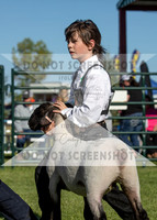 12Aug2021 Roosevelt County Fair-8117