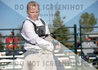 12Aug2021 Roosevelt County Fair-8120