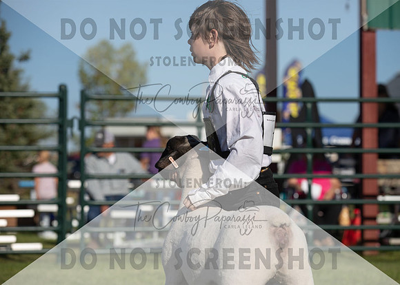 12Aug2021 Roosevelt County Fair-8123
