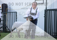 12Aug2021 Roosevelt County Fair-8138