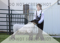 12Aug2021 Roosevelt County Fair-8139