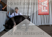 12Aug2021 Roosevelt County Fair-8572