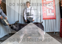 12Aug2021 Roosevelt County Fair-8624