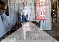 12Aug2021 Roosevelt County Fair-8652