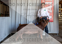 12Aug2021 Roosevelt County Fair-8657
