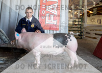12Aug2021 Roosevelt County Fair-8662