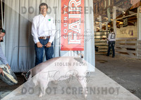12Aug2021 Roosevelt County Fair-8664