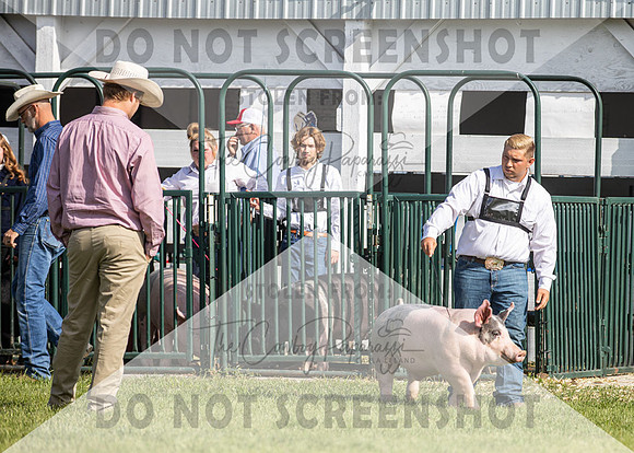 13Aug2021 Roosevelt County Fair-4613