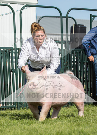 13Aug2021 Roosevelt County Fair-4680