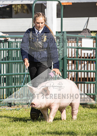 13Aug2021 Roosevelt County Fair-4733