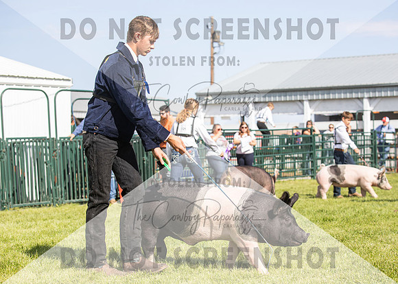 13Aug2021 Roosevelt County Fair-4761