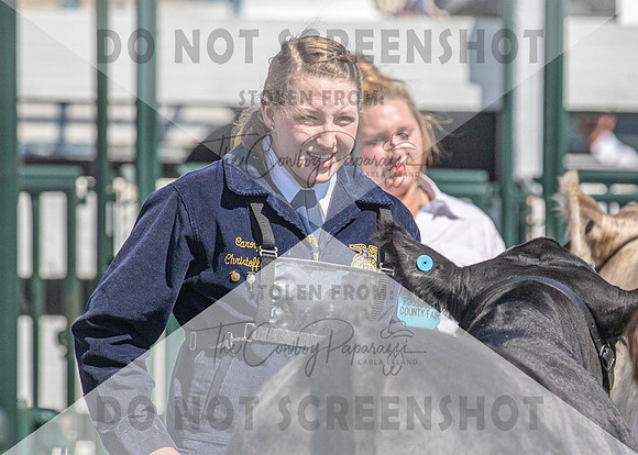 13Aug2021 Roosevelt County Fair-4951
