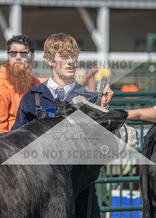 13Aug2021 Roosevelt County Fair-4955