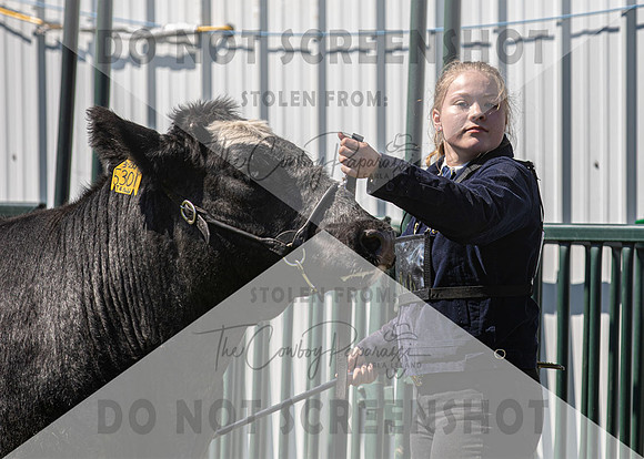13Aug2021 Roosevelt County Fair-4958
