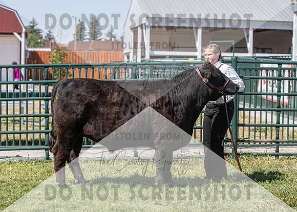13Aug2021 Roosevelt County Fair-4974