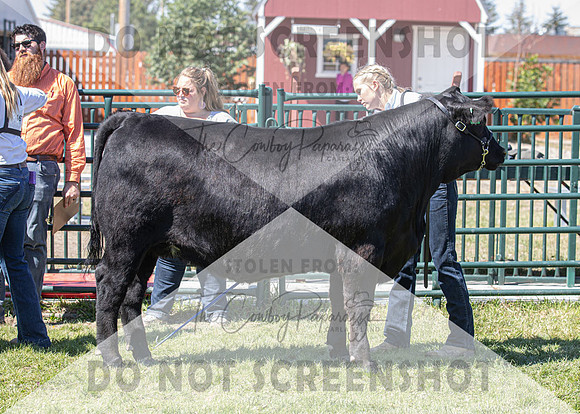 13Aug2021 Roosevelt County Fair-4977