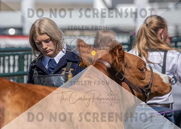 13Aug2021 Roosevelt County Fair-4983