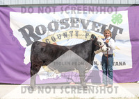 13Aug2021 Roosevelt County Fair-5009