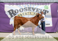 13Aug2021 Roosevelt County Fair-5021