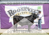 13Aug2021 Roosevelt County Fair-5031