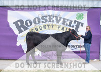 13Aug2021 Roosevelt County Fair-5047
