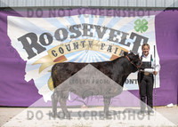 13Aug2021 Roosevelt County Fair-5062