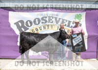 13Aug2021 Roosevelt County Fair-5074