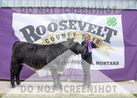 13Aug2021 Roosevelt County Fair-5105
