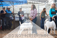 5Aug2021 RCF&R Goat Show-5676