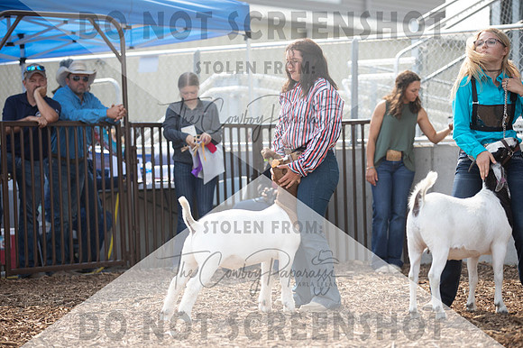 5Aug2021 RCF&R Goat Show-5676