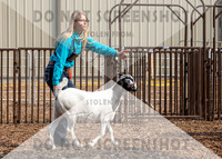 5Aug2021 RCF&R Goat Show-5689