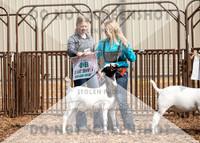 5Aug2021 RCF&R Goat Show-5697