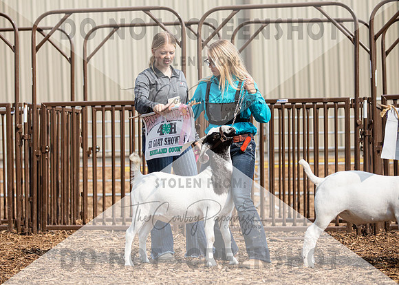 5Aug2021 RCF&R Goat Show-5697