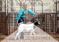 5Aug2021 RCF&R Goat Show-5693