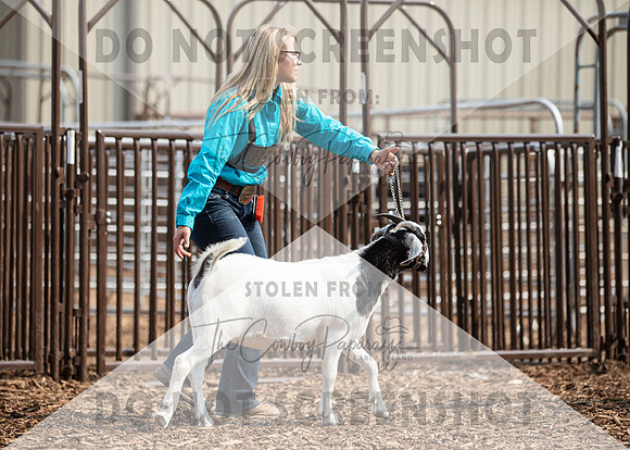 5Aug2021 RCF&R Goat Show-5693
