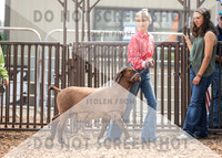 5Aug2021 RCF&R Goat Show-5705