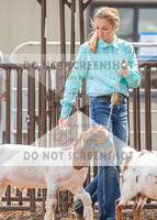 5Aug2021 RCF&R Goat Show-5710