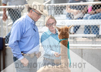 5Aug2021 RCF&R Alpaca Show-5827