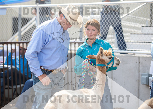 5Aug2021 RCF&R Alpaca Show-5835