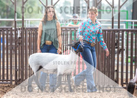 5Aug2021 RCF&R Sheep Show-5517