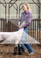5Aug2021 RCF&R Sheep Show-5542