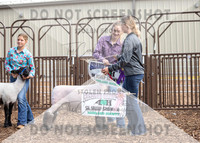 5Aug2021 RCF&R Sheep Show-5545
