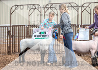 5Aug2021 RCF&R Sheep Show-5547