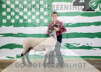4Aug2021 RCF&R 4H Sheep Show-3729